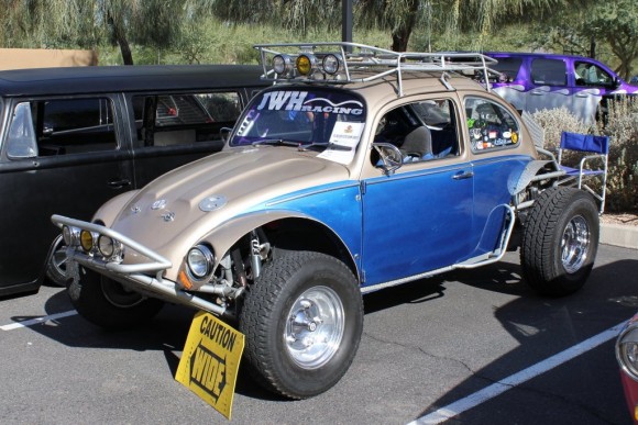 Rally Beetle Rally Beetle